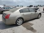 2006 Nissan Maxima SE