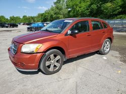 Dodge Caliber salvage cars for sale: 2010 Dodge Caliber SXT