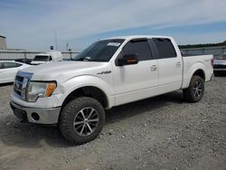 Vehiculos salvage en venta de Copart Earlington, KY: 2010 Ford F150 Supercrew