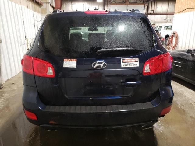 2009 Hyundai Santa FE SE