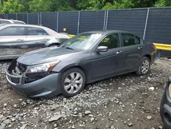 Salvage cars for sale from Copart Waldorf, MD: 2009 Honda Accord EX