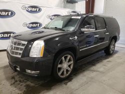 Cadillac Vehiculos salvage en venta: 2011 Cadillac Escalade ESV Platinum