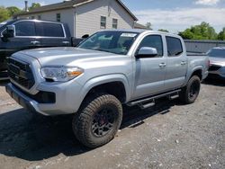 Salvage cars for sale at York Haven, PA auction: 2023 Toyota Tacoma Double Cab