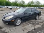 2004 Lexus ES 330