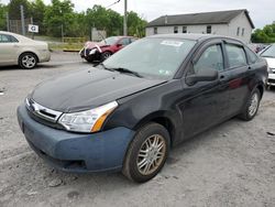 Salvage cars for sale at York Haven, PA auction: 2010 Ford Focus SE