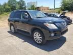 2010 Lexus LX 570