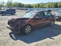 Salvage cars for sale at Grantville, PA auction: 2008 Honda Accord EXL