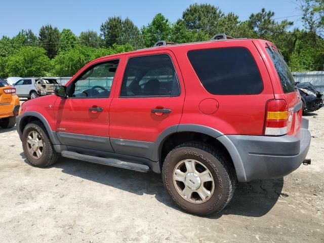 2002 Ford Escape XLT