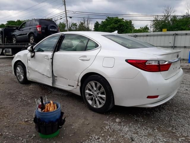 2013 Lexus ES 300H