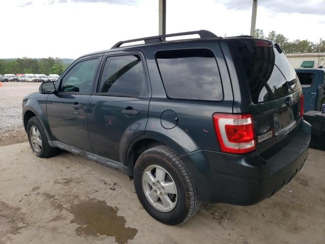 2009 Ford Escape XLT