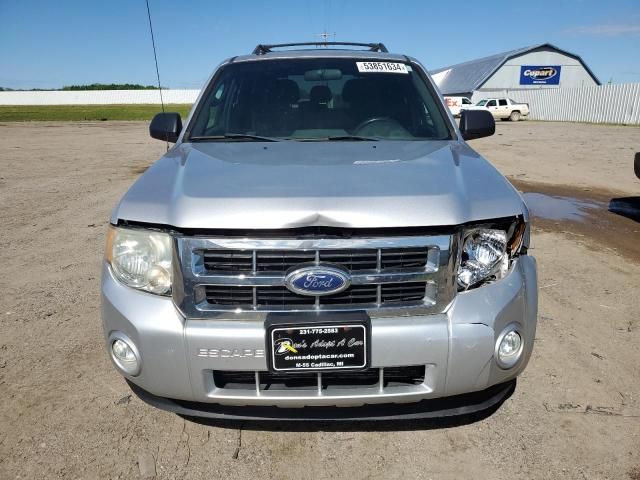 2010 Ford Escape XLT