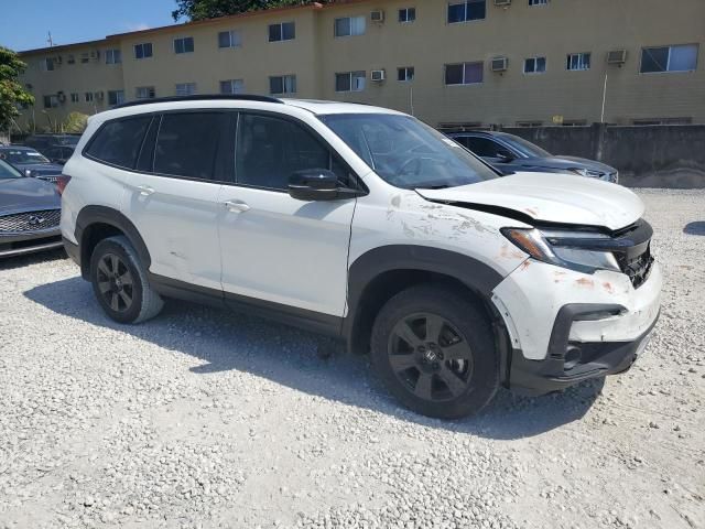 2022 Honda Pilot Trailsport