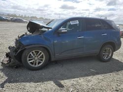 Salvage cars for sale at Eugene, OR auction: 2014 KIA Sorento LX