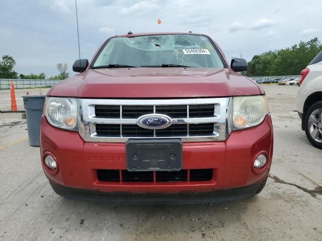 2010 Ford Escape XLT