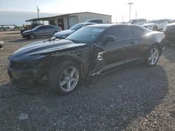 Salvage cars for sale at Temple, TX auction: 2019 Chevrolet Camaro LS