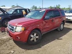 Salvage cars for sale from Copart Pekin, IL: 2010 Ford Escape XLT