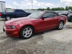 Salvage cars for sale at Lumberton, NC auction: 2014 Ford Mustang