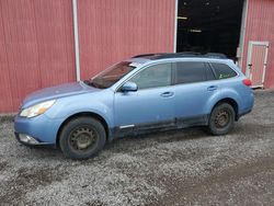 Salvage cars for sale from Copart London, ON: 2011 Subaru Outback 2.5I Limited