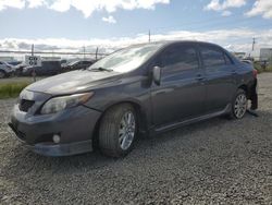 Salvage cars for sale from Copart Eugene, OR: 2009 Toyota Corolla Base