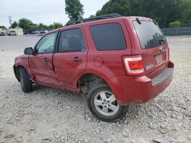 2009 Ford Escape XLT