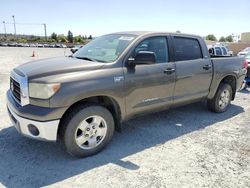 Salvage cars for sale at Mentone, CA auction: 2008 Toyota Tundra Crewmax