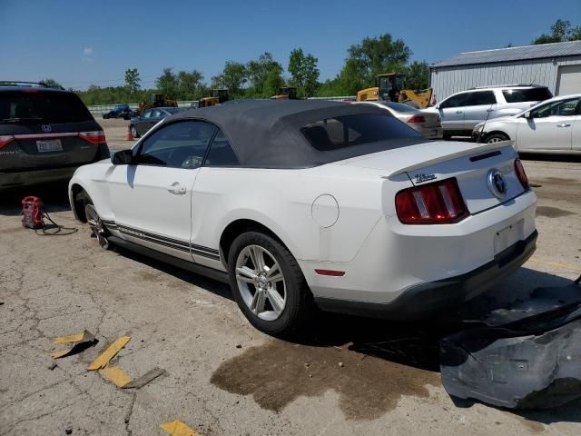 2010 Ford Mustang