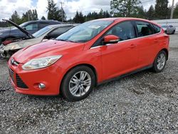 Vehiculos salvage en venta de Copart Graham, WA: 2012 Ford Focus SEL