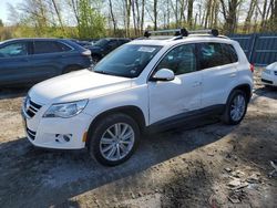 Salvage cars for sale at Candia, NH auction: 2010 Volkswagen Tiguan SE
