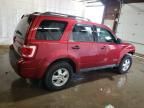 2008 Ford Escape XLT