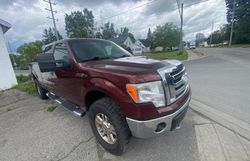 Salvage cars for sale from Copart Bowmanville, ON: 2009 Ford F150 Supercrew