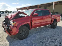Salvage cars for sale at Homestead, FL auction: 2021 Toyota Tacoma Double Cab