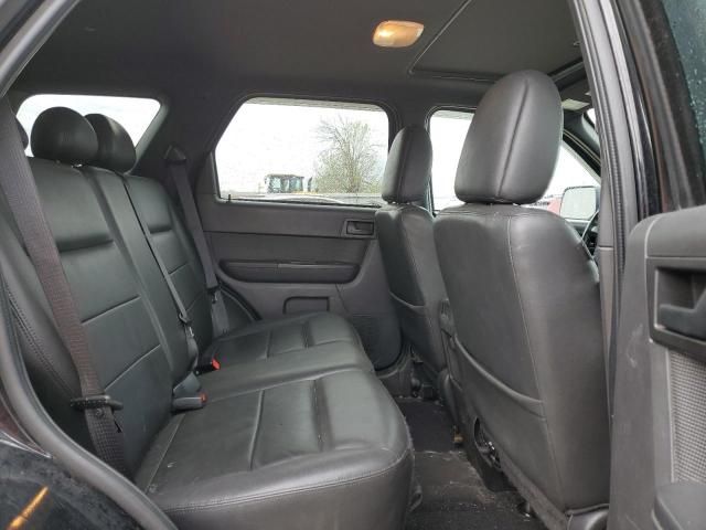 2009 Ford Escape XLT