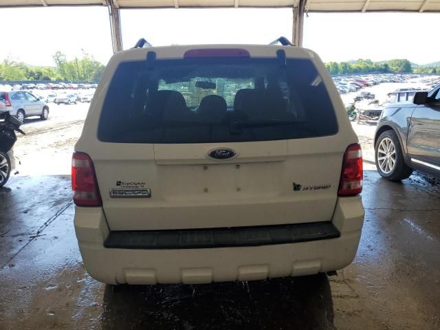 2009 Ford Escape Hybrid