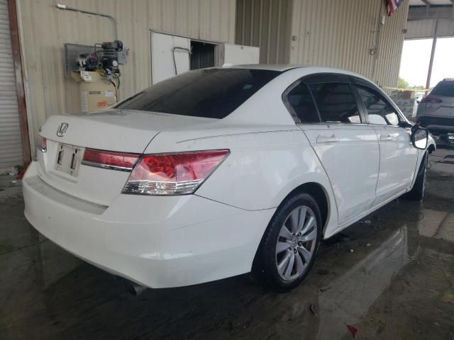 2011 Honda Accord EXL