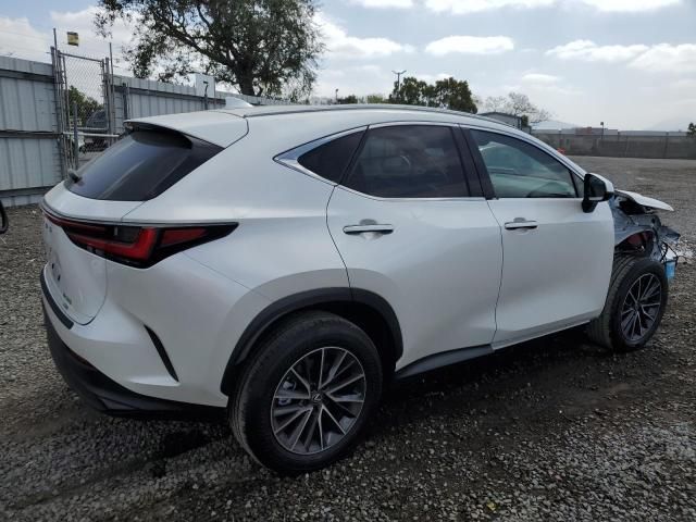 2024 Lexus NX 350 Base