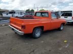 1979 Chevrolet C-10