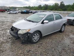 Salvage cars for sale at Memphis, TN auction: 2010 Toyota Corolla Base