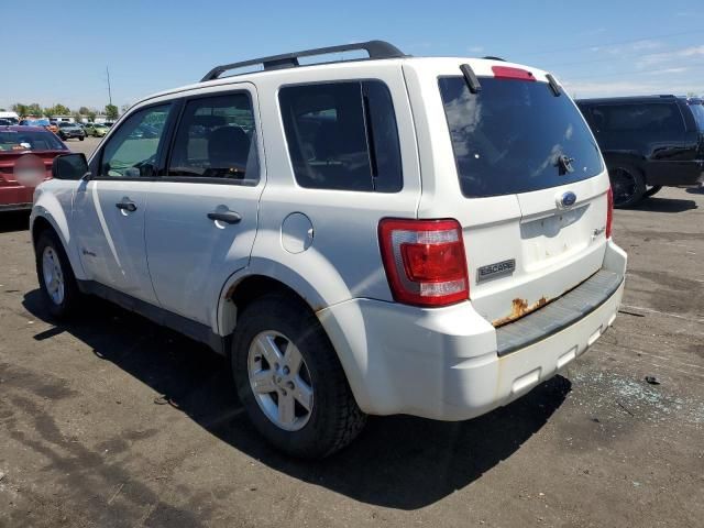 2009 Ford Escape Hybrid