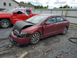 Salvage cars for sale at York Haven, PA auction: 2010 Honda Civic EX