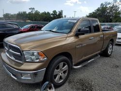 Salvage cars for sale from Copart Riverview, FL: 2011 Dodge RAM 1500