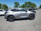 2023 Lexus NX 350