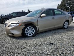 Toyota salvage cars for sale: 2008 Toyota Camry Hybrid