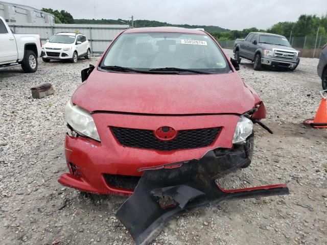 2010 Toyota Corolla Base