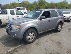 Salvage cars for sale from Copart Assonet, MA: 2008 Ford Escape XLT