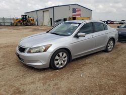Salvage cars for sale at Amarillo, TX auction: 2009 Honda Accord EXL