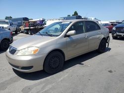Salvage cars for sale from Copart Hayward, CA: 2006 Toyota Corolla CE
