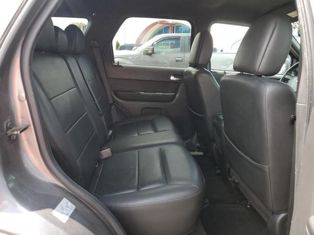 2010 Ford Escape Limited