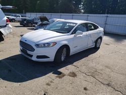 Salvage cars for sale at Arlington, WA auction: 2015 Ford Fusion SE Hybrid