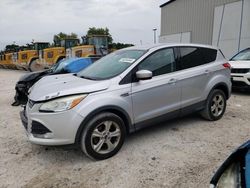 Salvage cars for sale from Copart Apopka, FL: 2016 Ford Escape SE