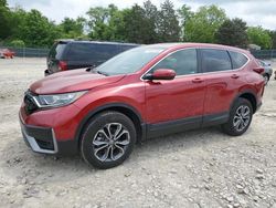 Salvage cars for sale at Madisonville, TN auction: 2021 Honda CR-V EX